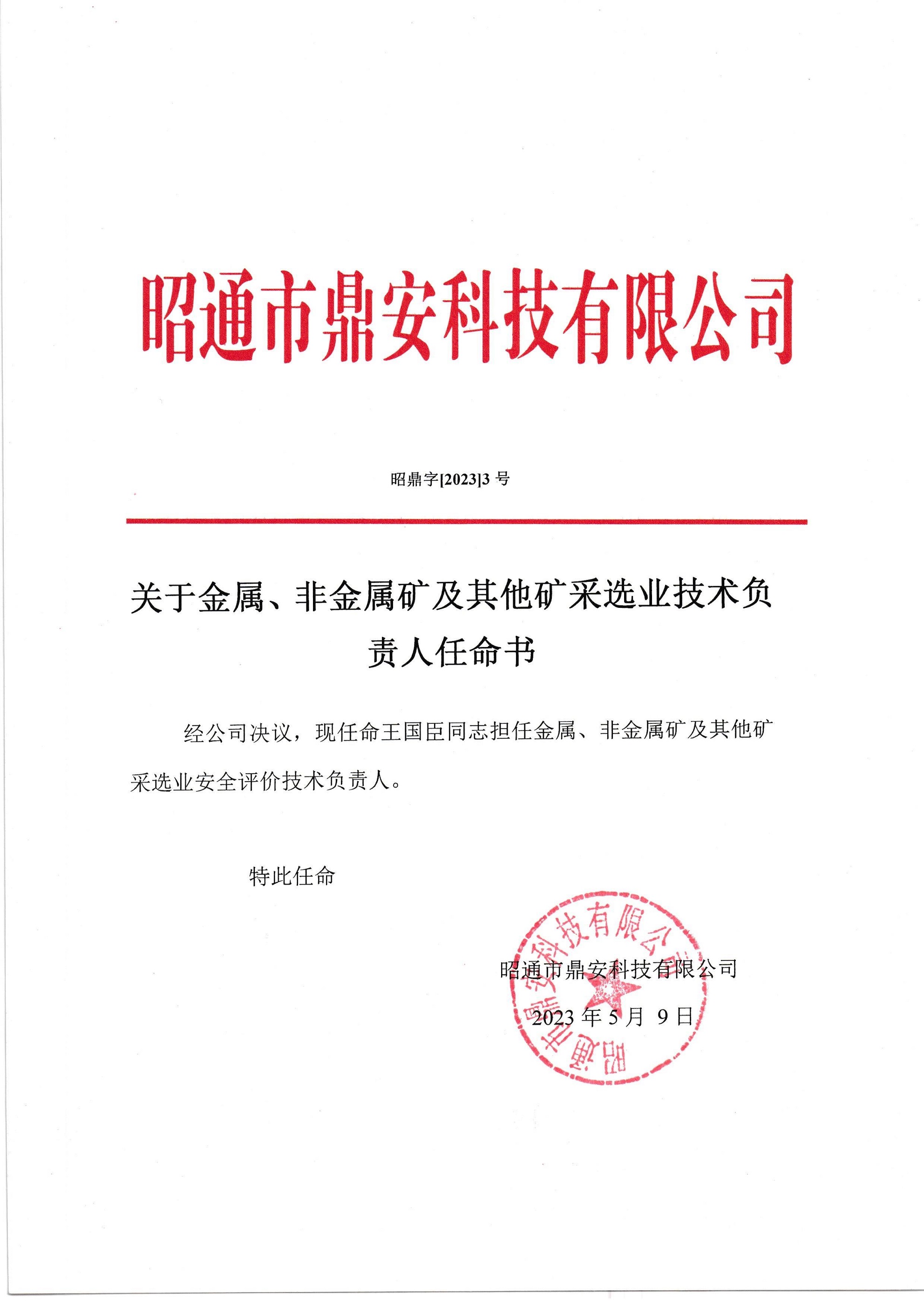 關(guān)于金屬、非金屬礦及其他礦采選業(yè)技術(shù)負(fù)責(zé)人任命書-王國臣_2.jpg